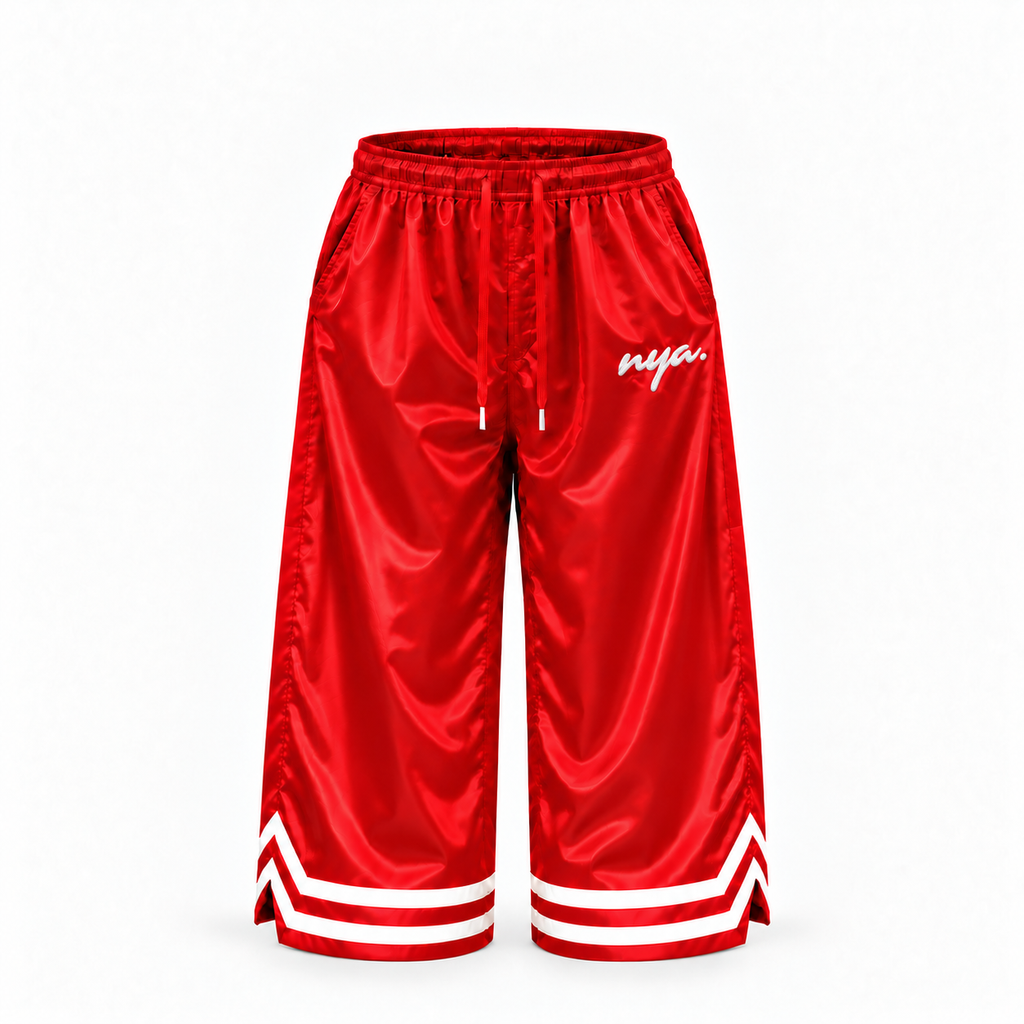 Dual Citizen basketball pants